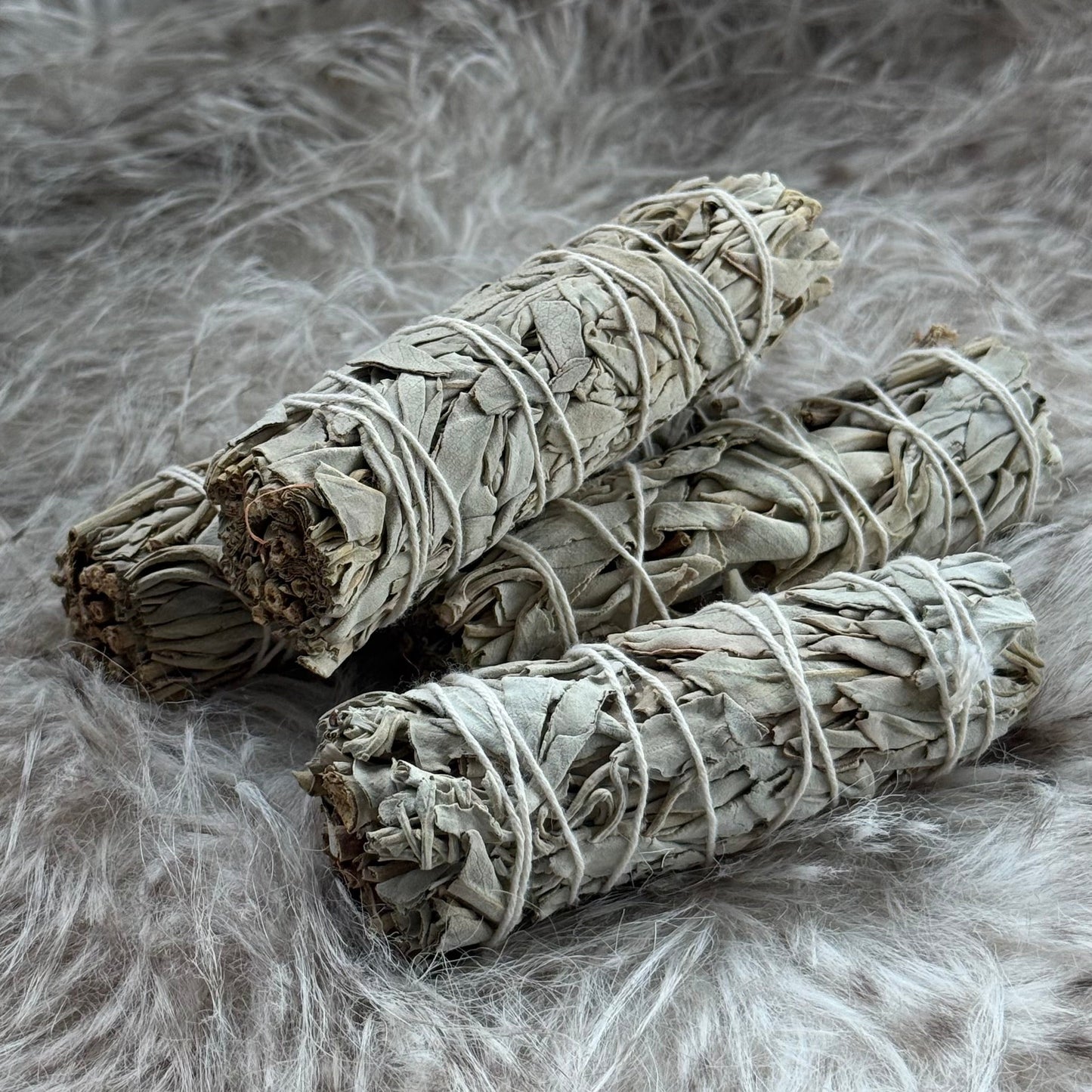 White Sage